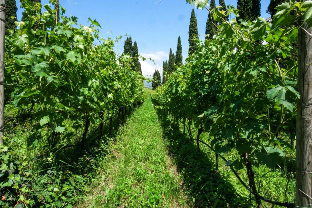 Villa Betteloni Valpolicella Suites San Pietro in Cariano Ngoại thất bức ảnh