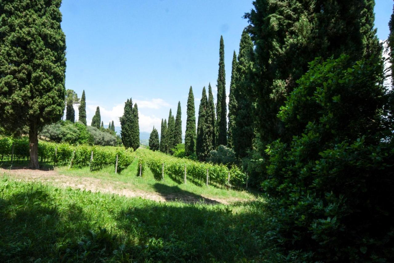 Villa Betteloni Valpolicella Suites San Pietro in Cariano Ngoại thất bức ảnh