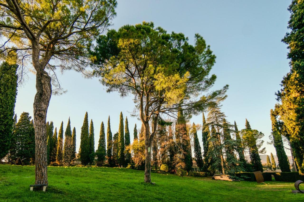 Villa Betteloni Valpolicella Suites San Pietro in Cariano Phòng bức ảnh